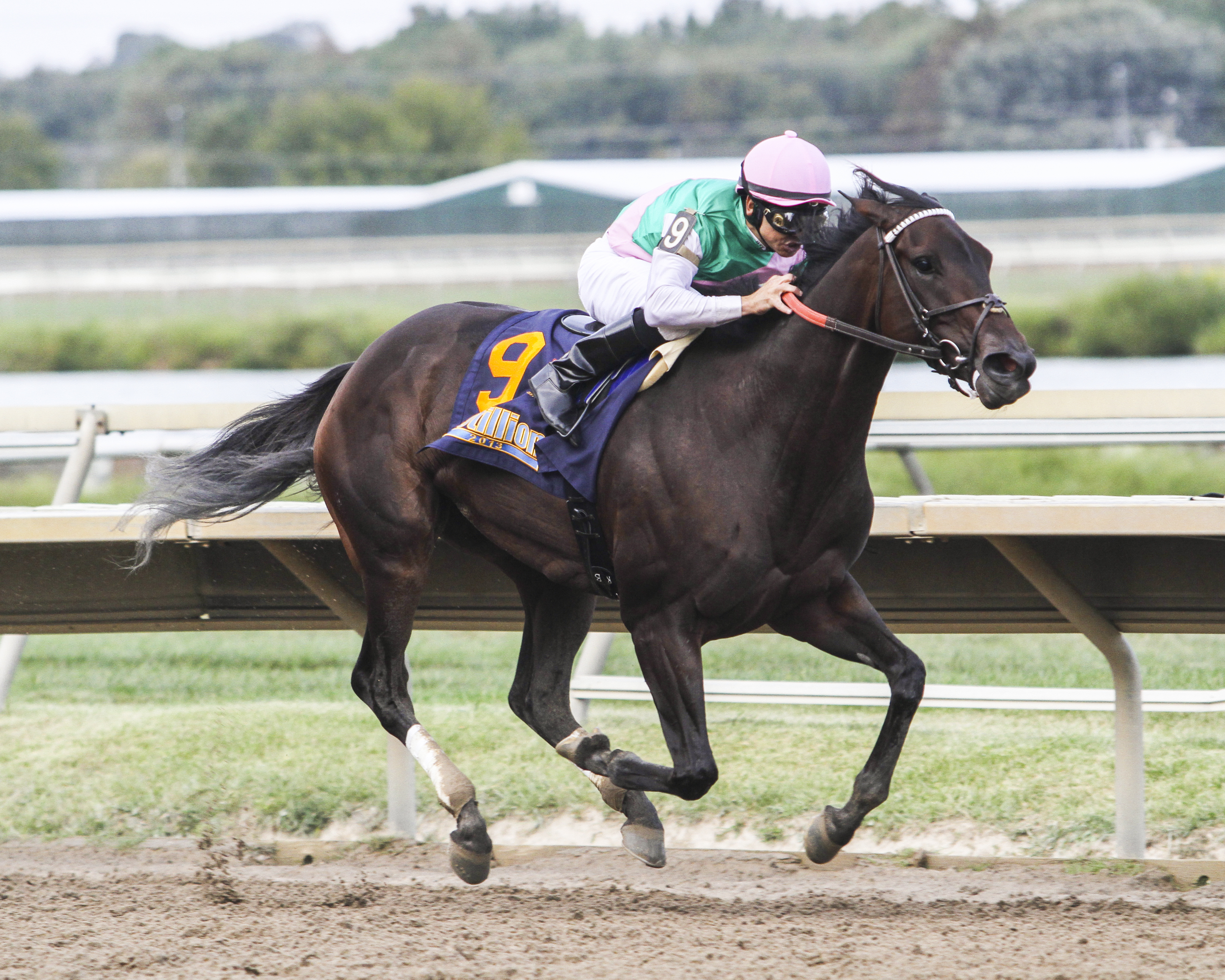 Close Hatches Wins G1 Cotillion