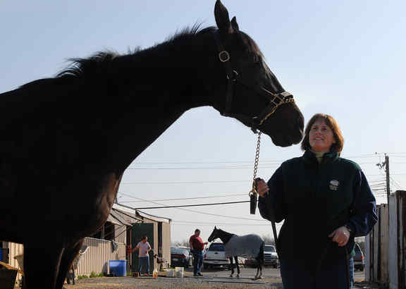 From Racetrack to Re-Homing: Giving Retired Thoroughbreds a Second Chance