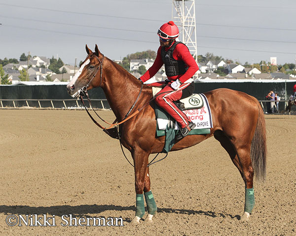 PA Derby Excitement Builds