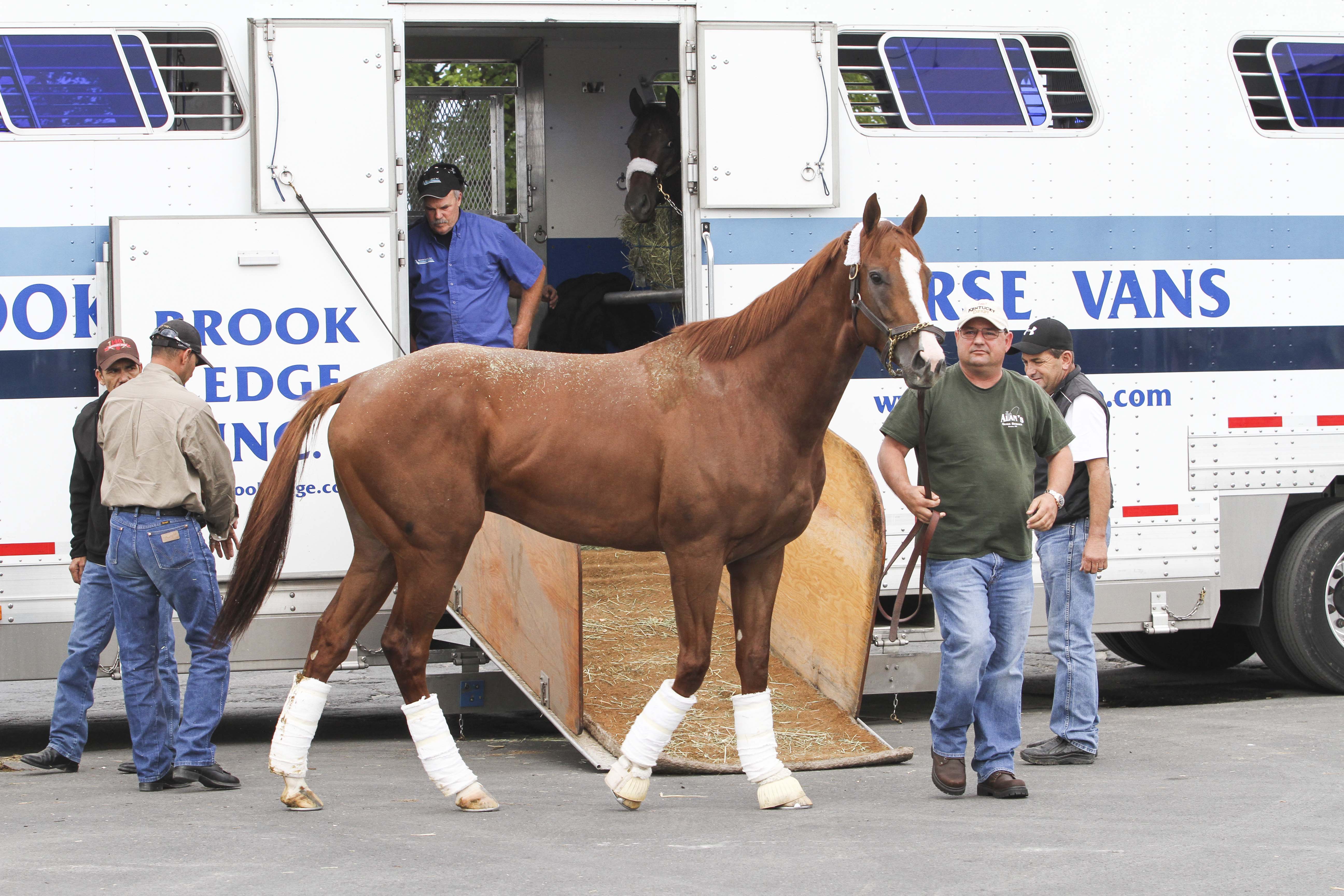 California Chrome Arrives at Parx