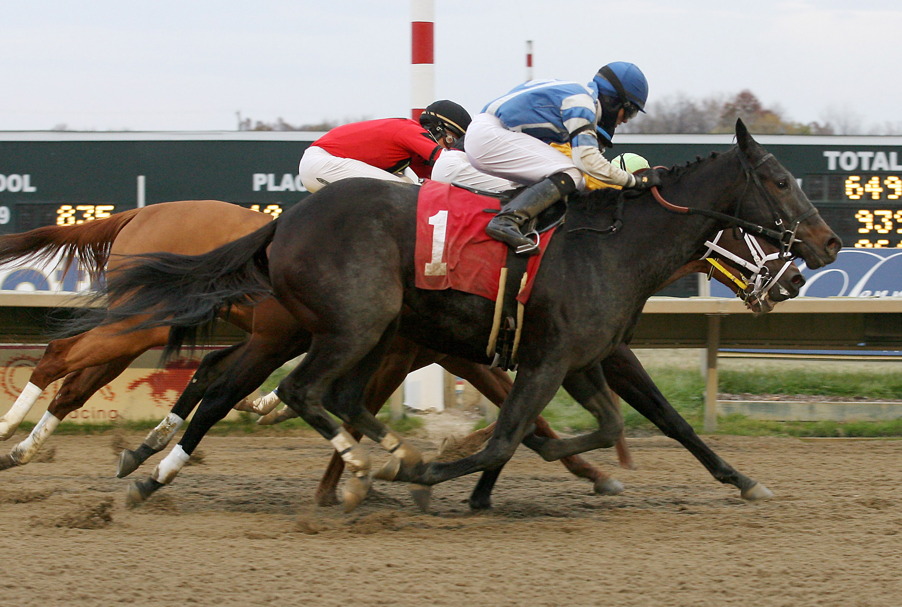 Mere Inches Separate Winners of Saturday Stakes Races