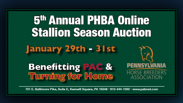 PHBA Stallion Season Auction to Benefit Turning for Home & PAC