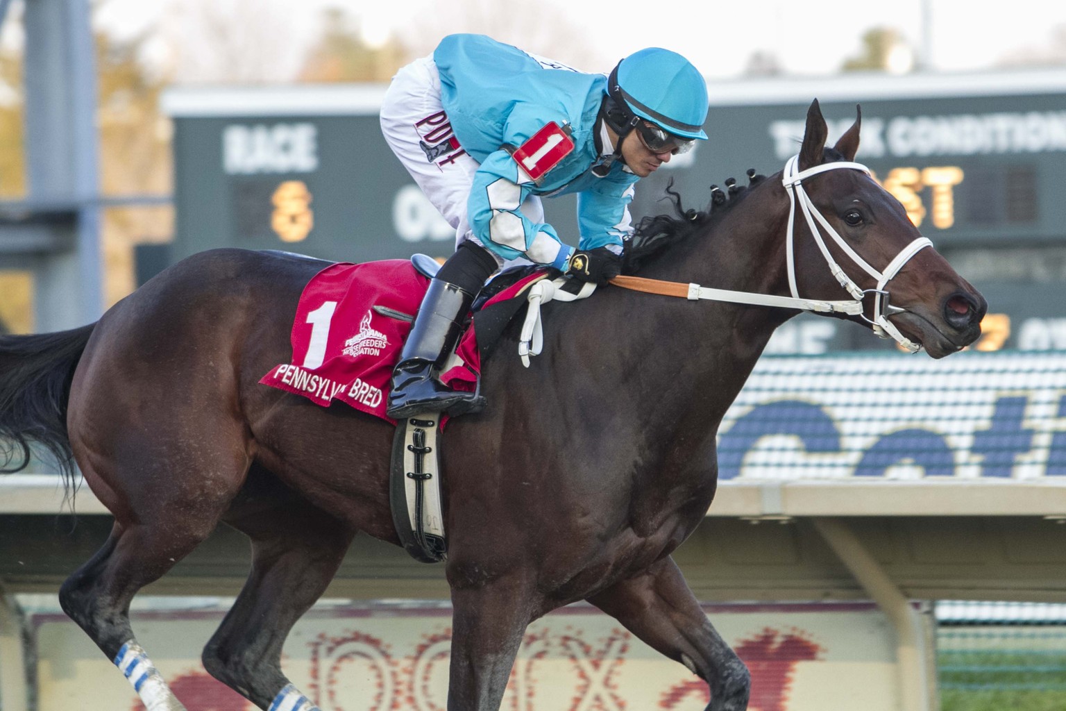 Bird of Trey Flies Home to Win PA Nursery