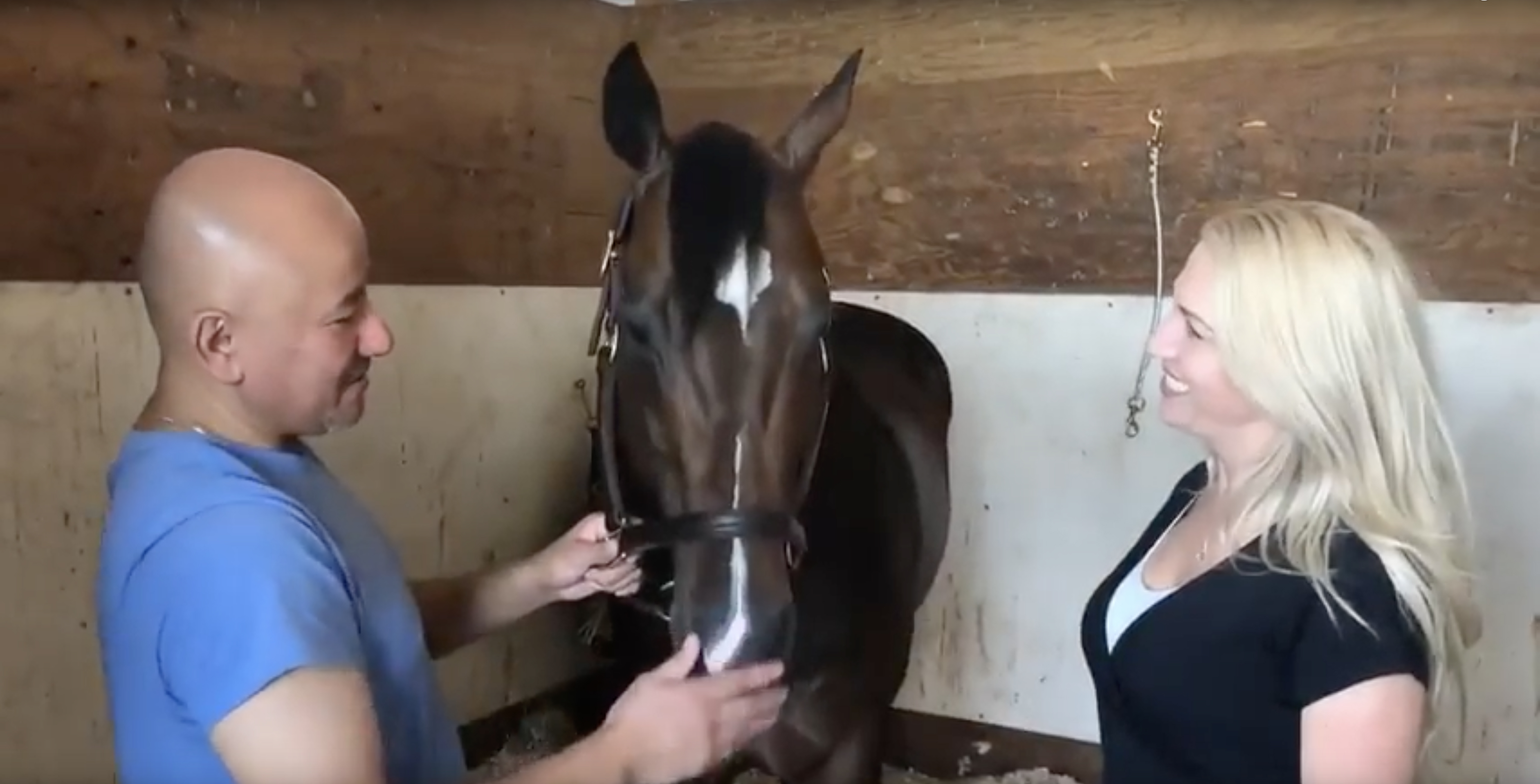 Meet Imperial Hint and His Groom Rafael