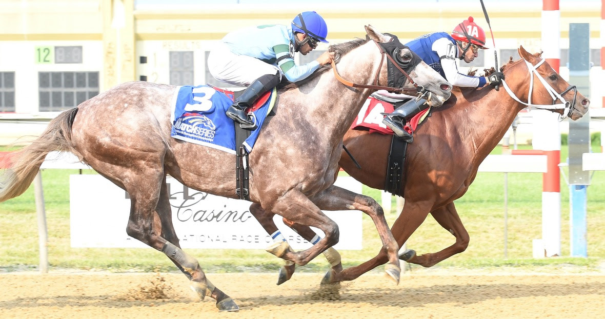 MATCH Series: Strong Performances Mark Series Stakes at Penn National