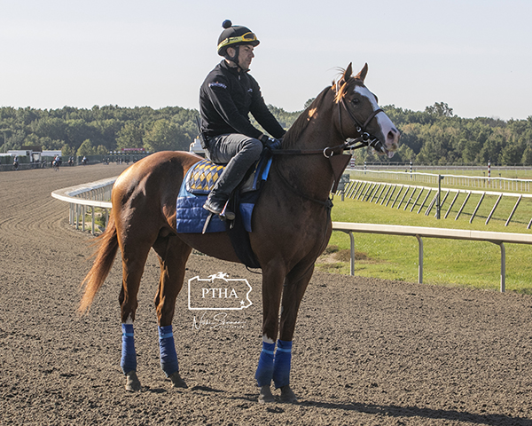 Improbable at Parx (PTHA)