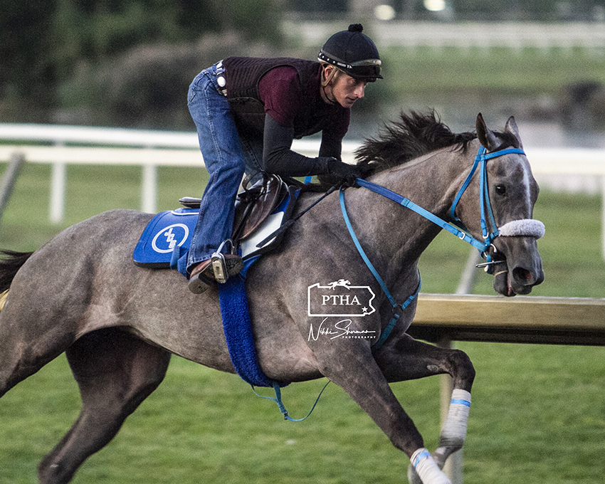 Showdown Set for Saturday's Pennsylvania Derby