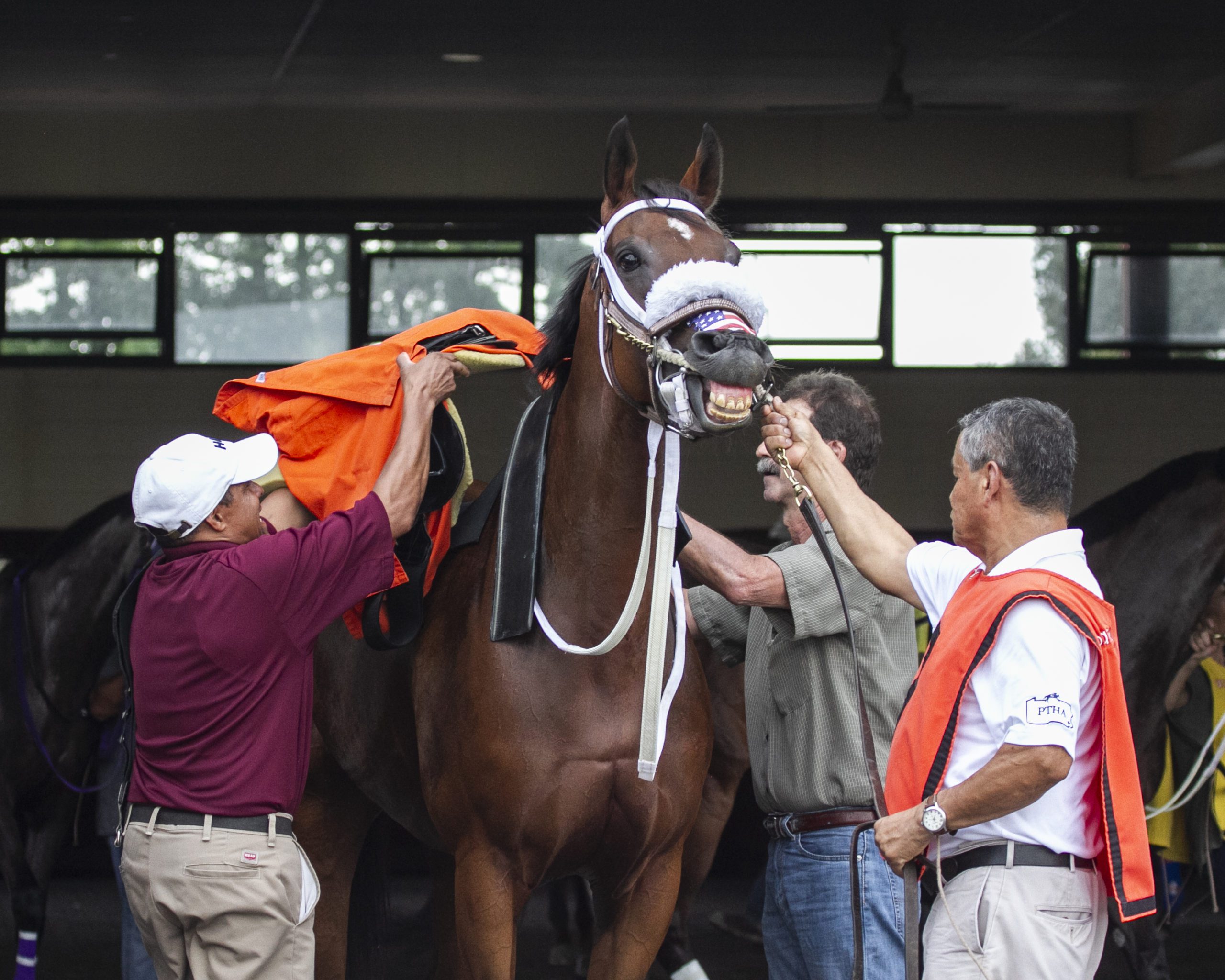 Who is Official at the Racetrack?