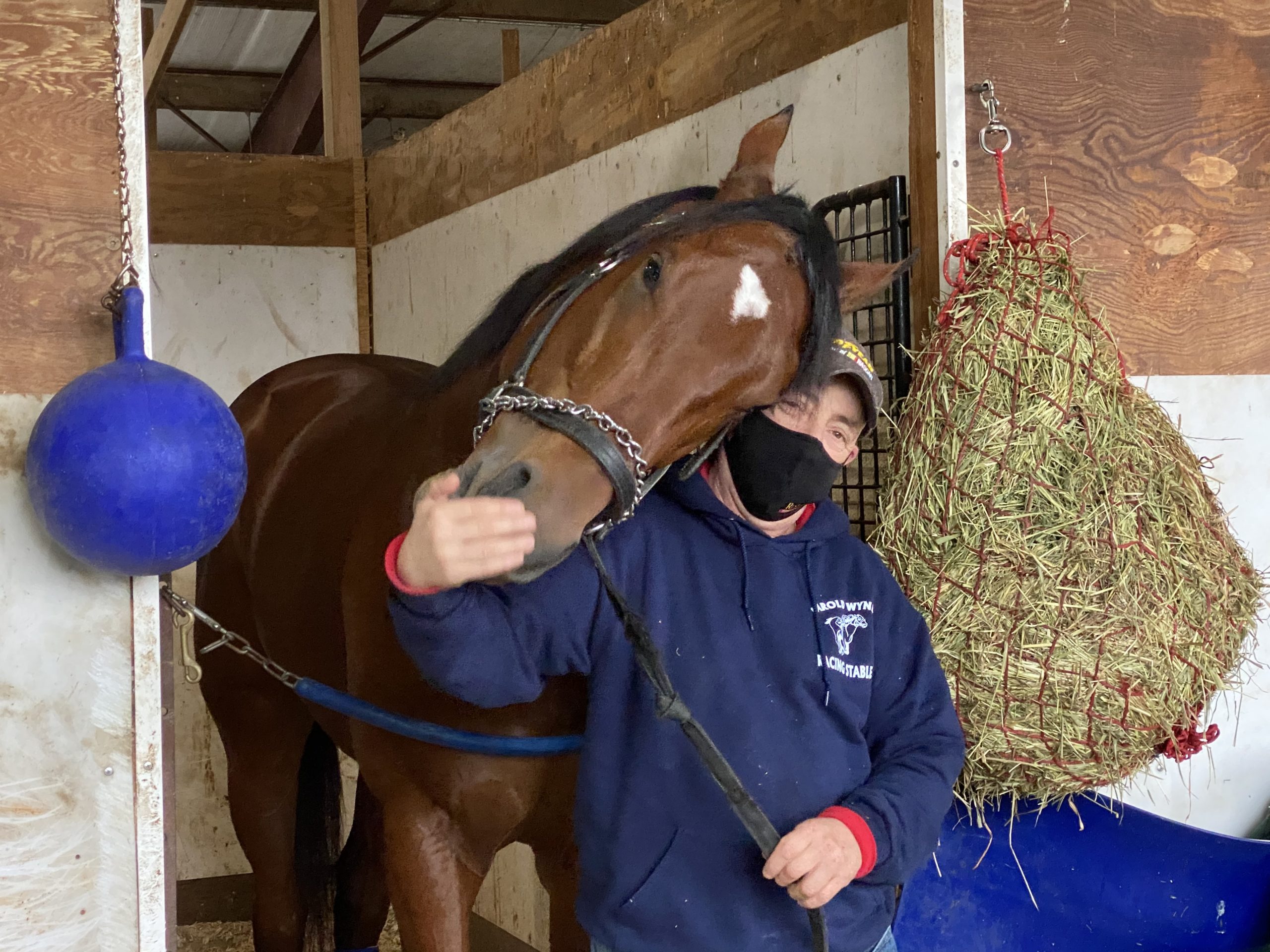 Parx's Capo Kane Heads to Jerome Stakes This Friday at Aqueduct