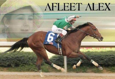 Afleet Alex Stud Halter Raffle