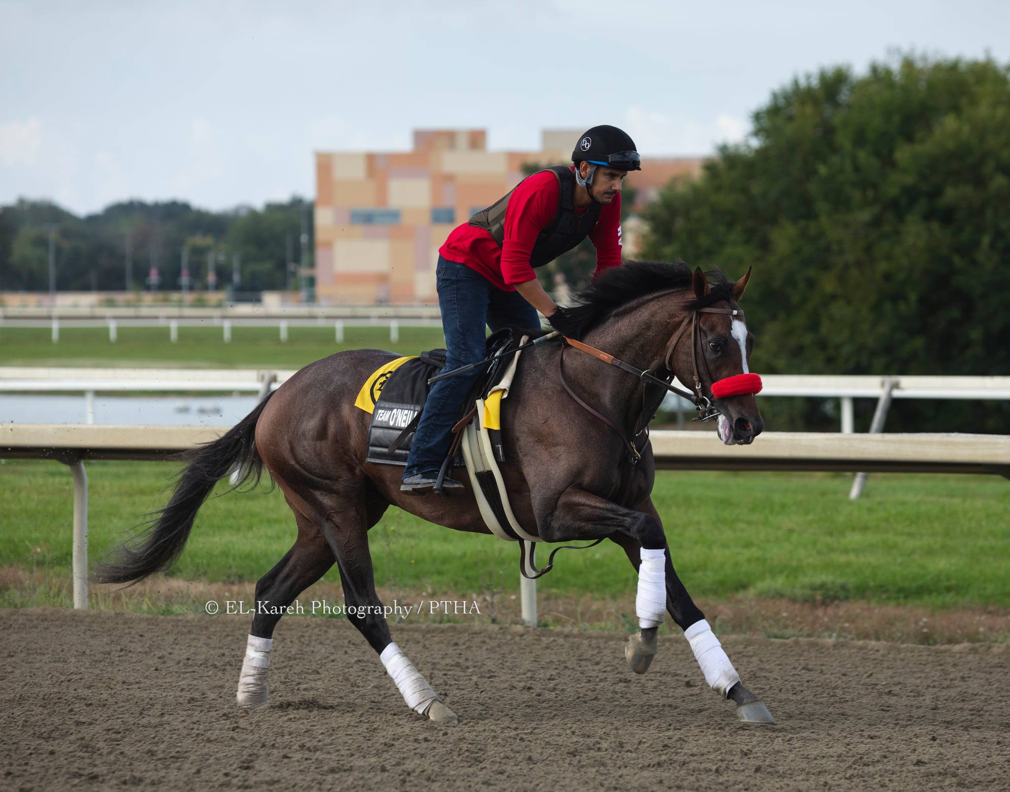 BETPARX NAMED AS TITLE SPONSOR OF $1 MILLION PENNSYLVANIA DERBY (GI)