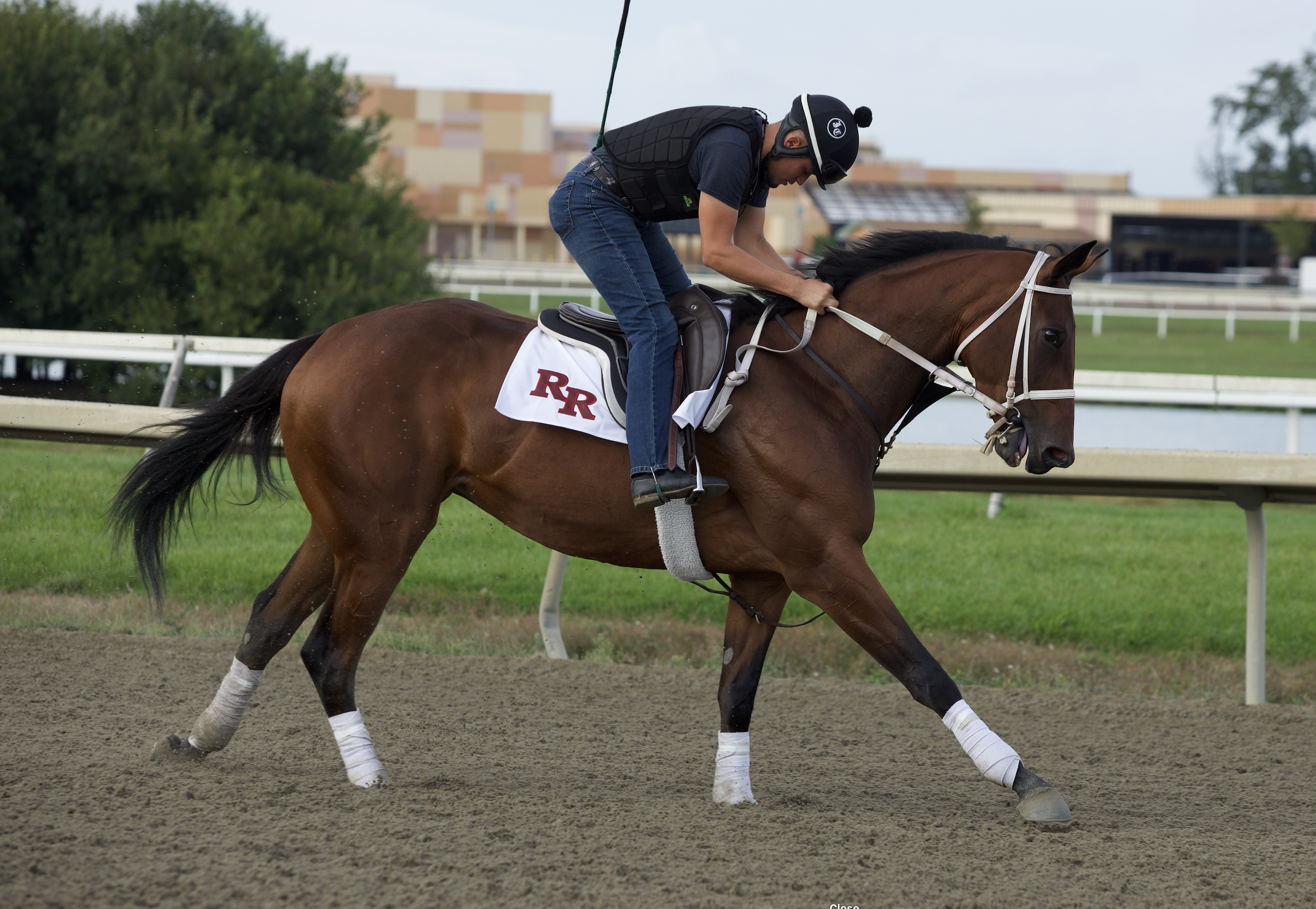 PA DERBY DAY STAKES NOTES