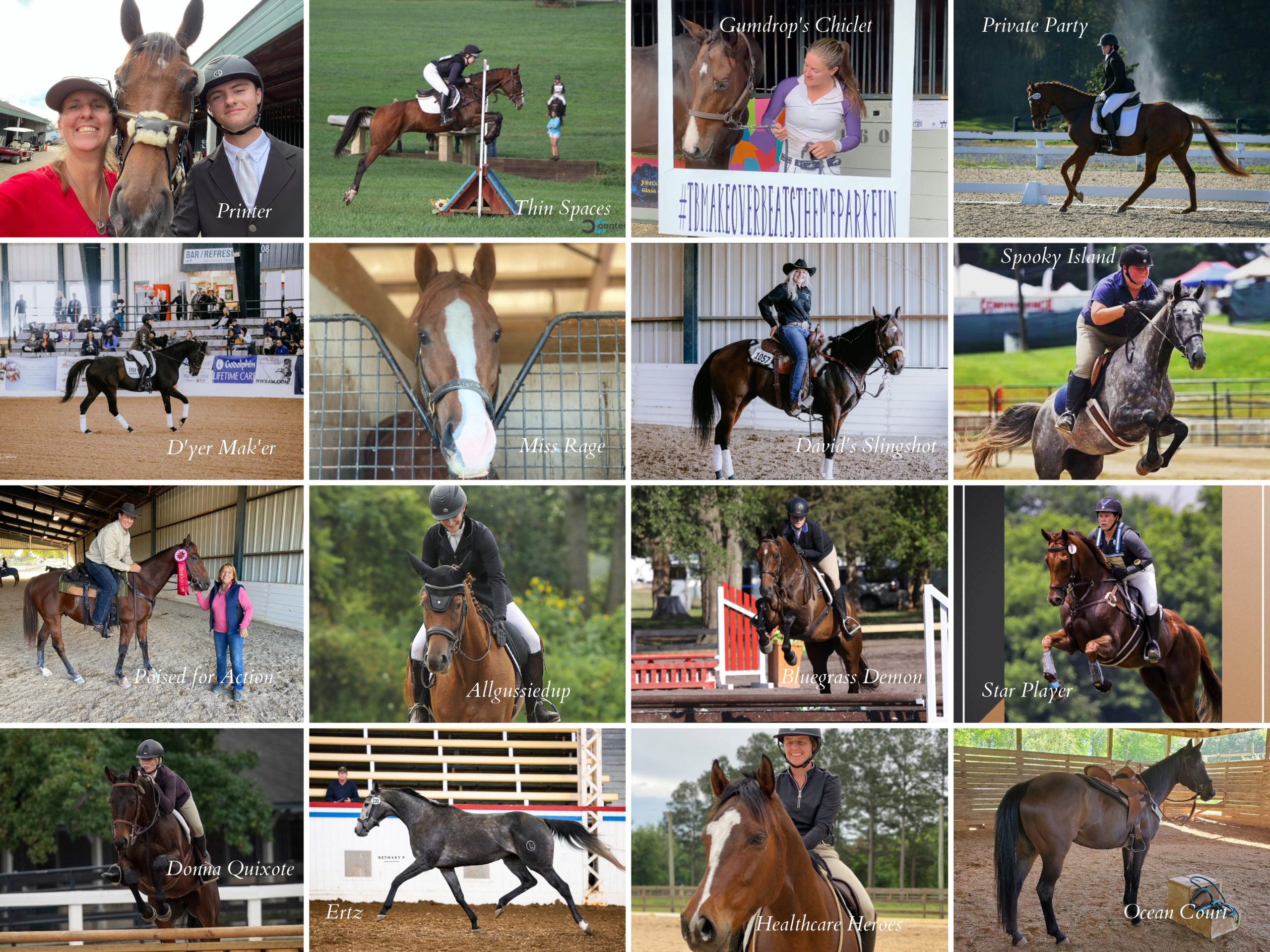 T.I.P. Announces Expanded Championships at Thoroughbred Makeover